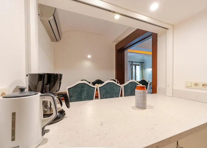 Three-bedroom Family In Managed - Balcony & Elevator Near Taksim Square 4* Istanbulská provincie